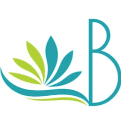 Buddle Law logo